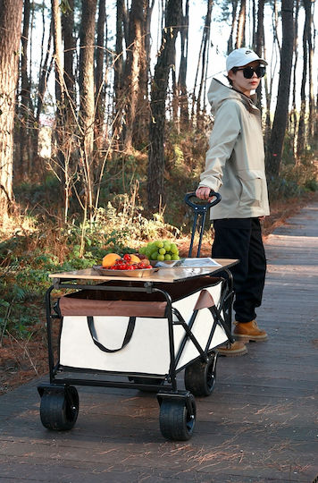 Beach Terrain Cart Tourist Shopping Transport 150kg Table 88cm