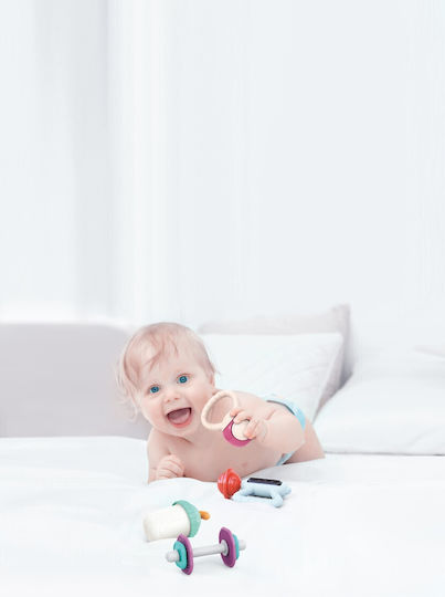 Hola Toys Teething Rattle from Plastic for 3 Months+