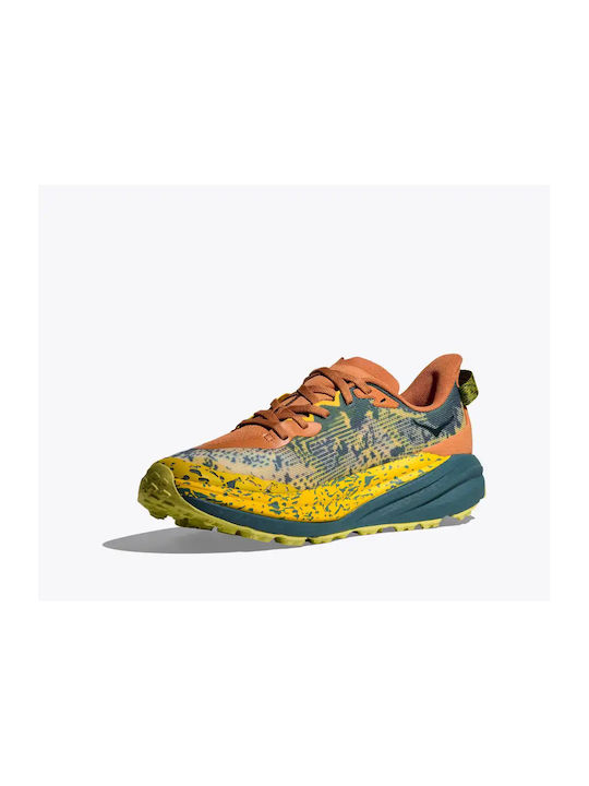 Speedgoat 6 Sport Shoes Trail Running Multicolour