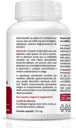 Zenyth 500mg 4gr 200ml 60 Kapseln Energie