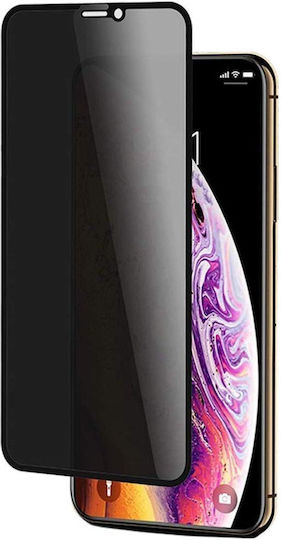 Glass Privatsphäre Gehärtetes Glas Schwarz (iPhone 12 / 12 Pro)