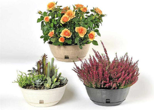 Bama Pot Round Pot Plastic White 31x31x13cm.