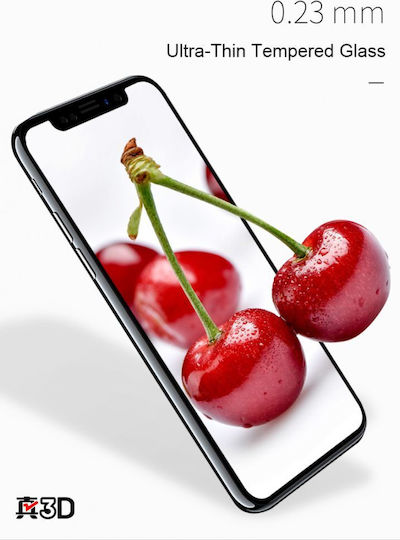 Benks 3D Vollflächig gehärtetes Glas (iPhone 11 Pro)