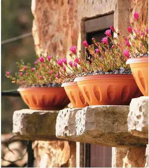Bama Саксия Пластмаса Light Terracotta 20x20x16см.
