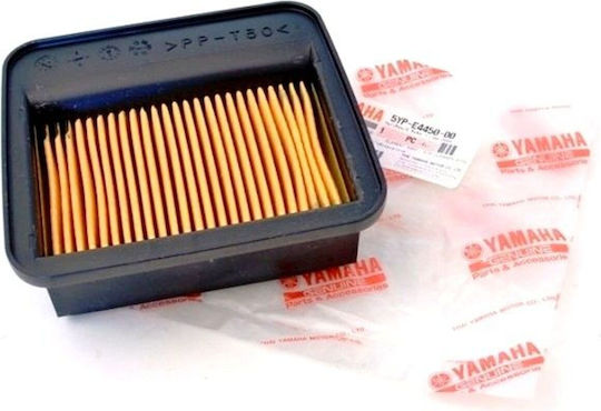 Yamaha Motorcycle Air Filter for Yamaha CRYPTON-X135