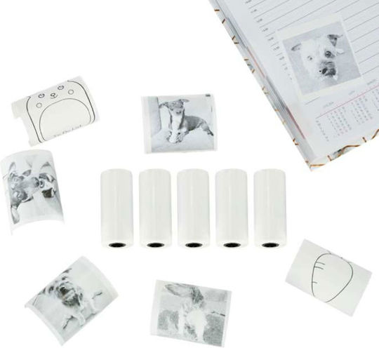 ACP Photo Paper 5τμχ. Ρολό (57x25) for Printers Thermal Sublimation/Transfer