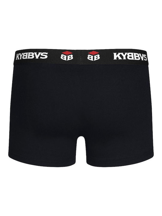 Kybbvs