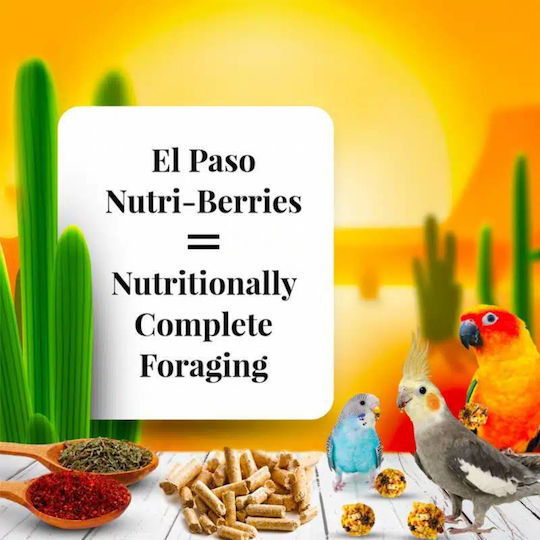 Lafeber El-passo Nutriberries Nutritious Training Snack 284g