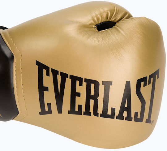 Everlast Elite 10 Γάντια Πυγμαχίας για Αγώνα Χρυσά
