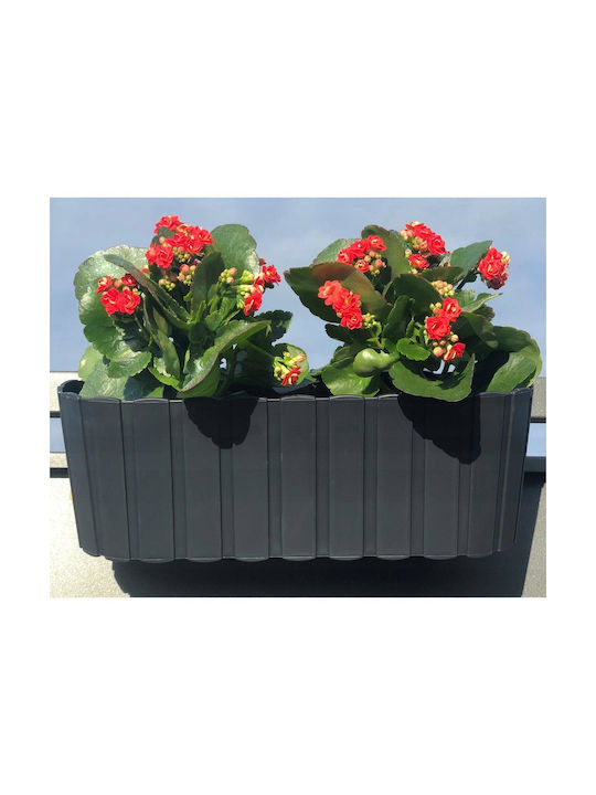Set 4 Decorative Planters Plastic Stand Anthracite 4.9 L 38.3x21.2x13 Cm Boardee Hook Set 4 Decorative Planters Plastic Stand Anthracite 4.9 L 38.3x21.2x13 Cm Boardee Hook