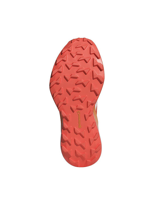Agravic 3 Sport Shoes Trail Running White