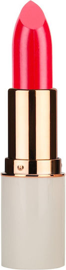 MD Professionnel Lipsticks 69 5gr