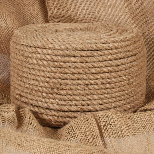 vidaXL Rope with Diameter 10mm and Length 250m