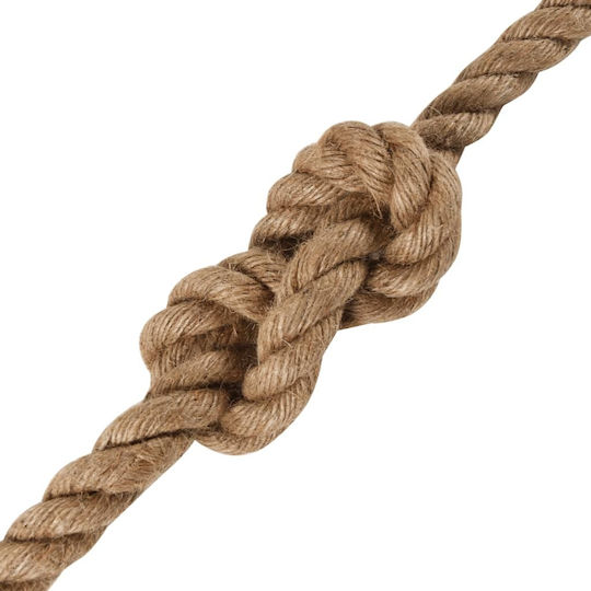 vidaXL Rope with Diameter 10mm and Length 100m