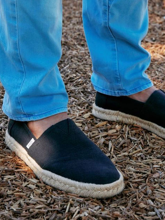 Toms Toms