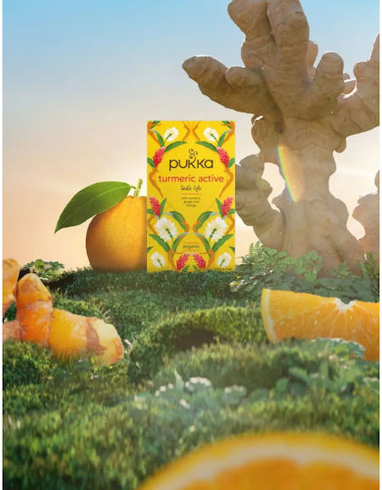 Pukka Bio-Tee Kurkuma Aktiv 20 Teebeutel 17623