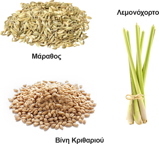 O Dromos tou Tsagiou Grüner Tee Bio-Produkt 100g