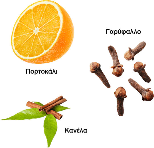 Ο Δρόμος του Τσαγιού Πράσινο Τσάι Πράσινος Δράκος 50gr