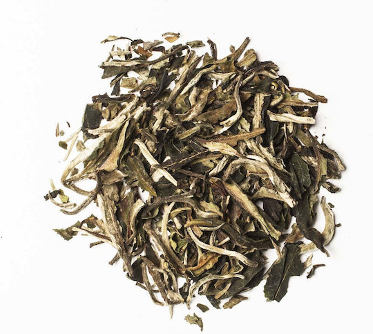 The Cap Soul Λευκό Τσάι 60 Φακελάκια 60gr