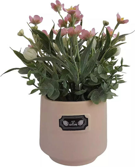 Dekorative Topfpflanze mit rosa Blumen