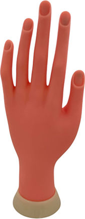 Beauty Salon Beauty Training Hand