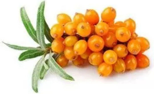 Wiedenbauer Bonbons mit Geschmack Hippophae-Granatapfel Bio 75gr