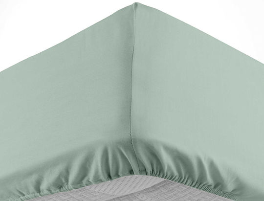Douceur d'Intérieur Sheet for Single Bed with Elastic 90x190+30cm. Lina Sage