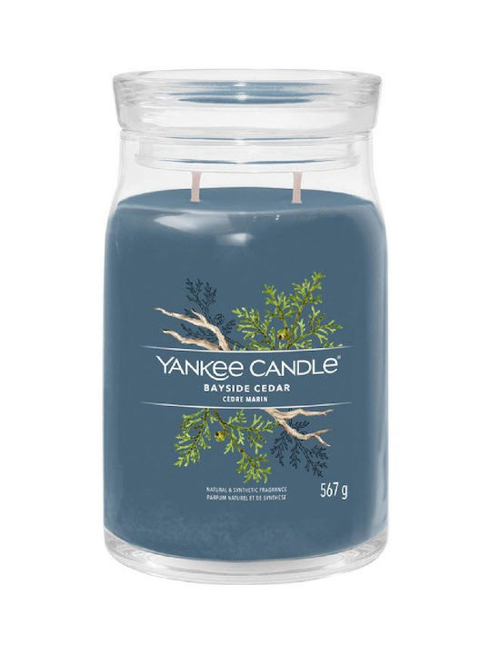 Yankee Candle Aromatic Candle Signature Jar with Bayside Cedar Perfume 567gr