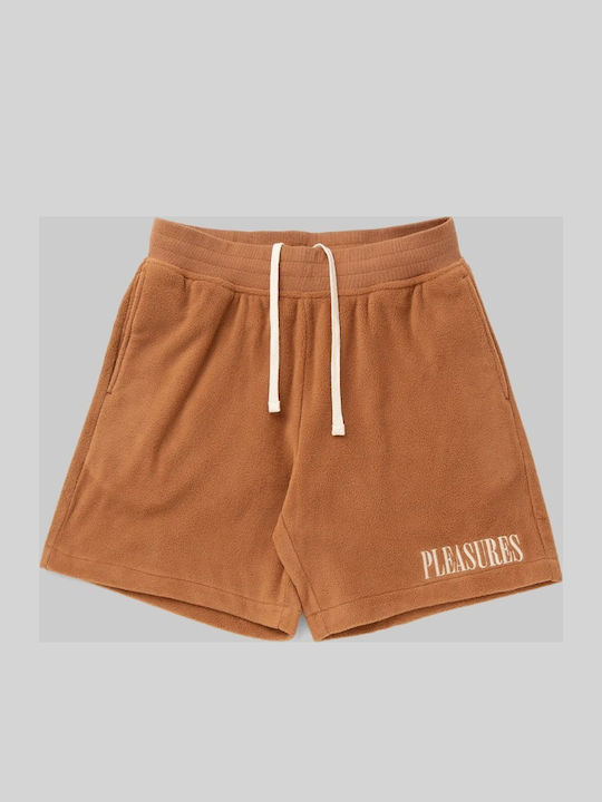 Herrenshorts Braun