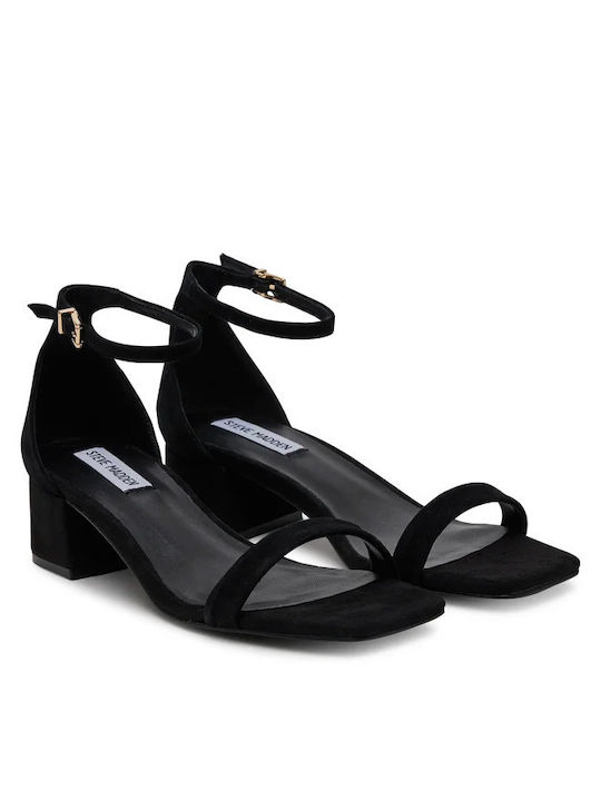 Steve Madden