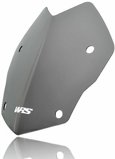 WRS Getöntes Visier Motorrad für BMW R 1200 BM045FS