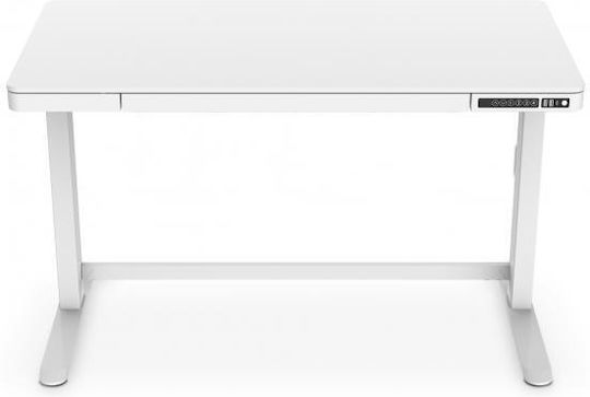 Elektrisch Schreibtisch Holz Weiß mit Metallbeinen, verstellbarer Höhe, LED & USB-Anschlüssen 120x60x72cm