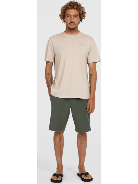 Men's Shorts Gray
