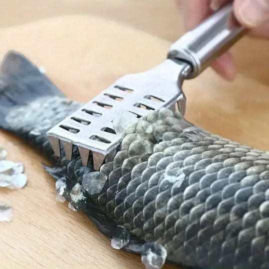 Fish Descaler made of Stainless Steel