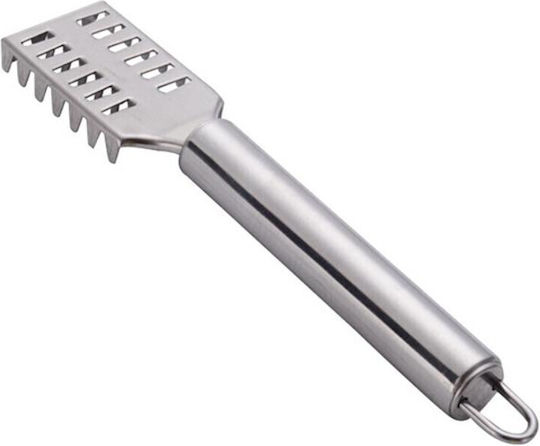 Fish Descaler made of Stainless Steel