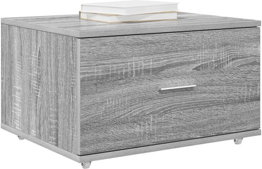 Cabinet de depozitare L55xW45xH33.5buc