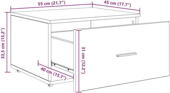 Cabinet de depozitare L55xW45xH33.5buc