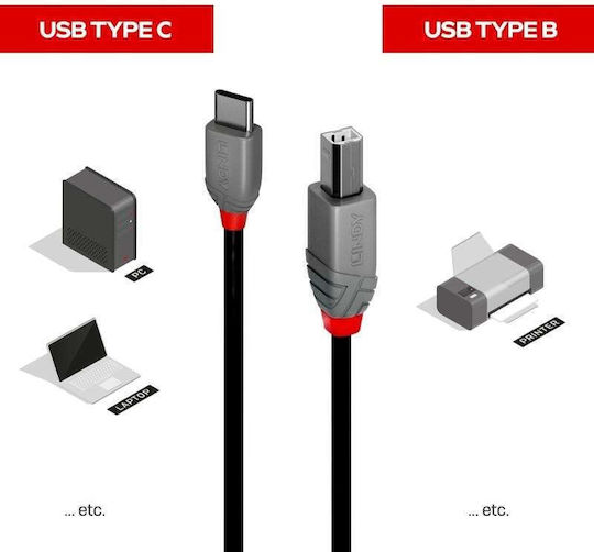 Lindy USB 2.0 Kabel USB-C männlich - USB-B Schwarz 2m (36942)