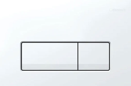 Geberit Delta 50 Flush Plate Dual Flush
