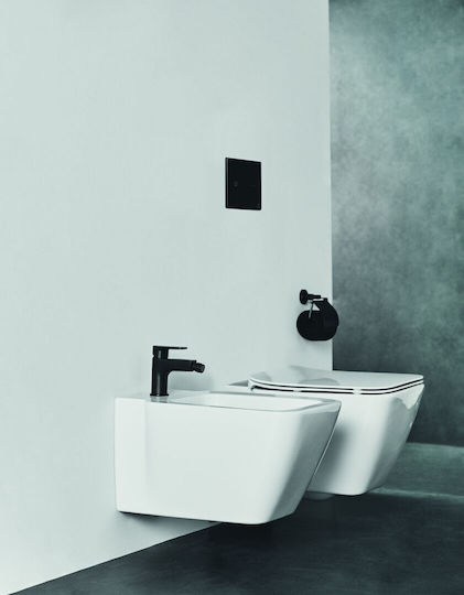 Ideal Standard Oleas M2 Spülplatten für Toiletten Doppelspülung