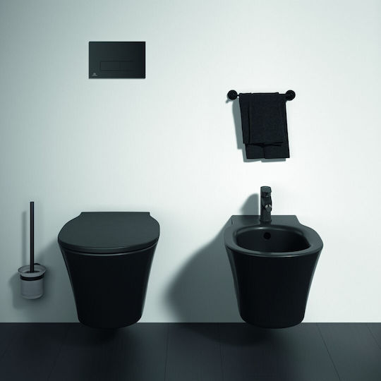 Ideal Standard Oleas M2 Spülplatten für Toiletten Doppelspülung