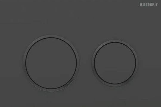 Geberit Omega 20 Flush Plate Dual Flush