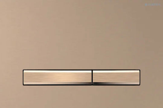 Geberit Sigma 50 Dual Flush Flush Plate for Toilets Inox
