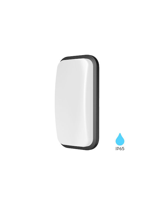 Braytron Επιτοίχιο Εξωτερικό Φωτιστικό IP65 23.6x11.6x6.8εκ.