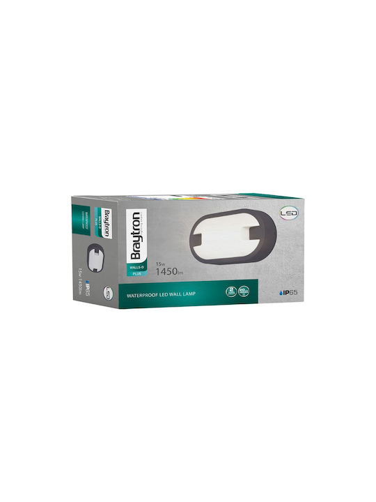 Braytron Επιτοίχια Χελώνα Εξωτερική IP65 21.5x12.5x5.9εκ.