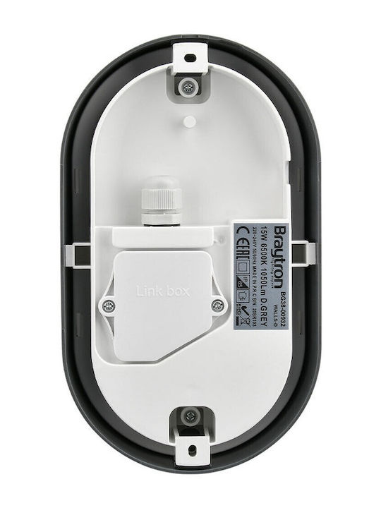 Braytron Επιτοίχια Χελώνα Εξωτερική IP65 21.5x12.5x5.9εκ.