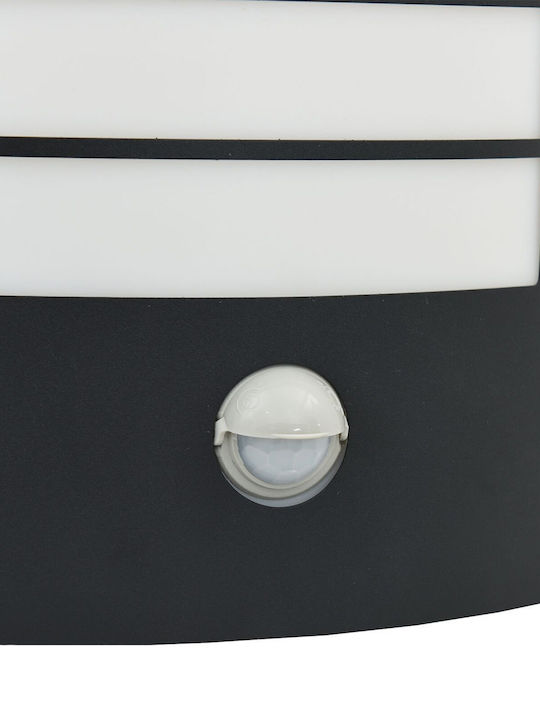 vidaXL Wall-Mounted Outdoor Lighting E27 IP44 23.5x9x26cm