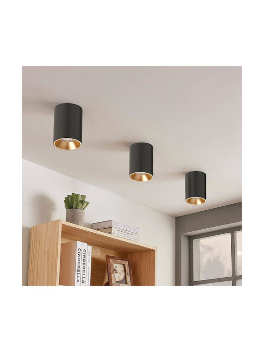 Braytron Single Spot with Socket GU10 in Black Color