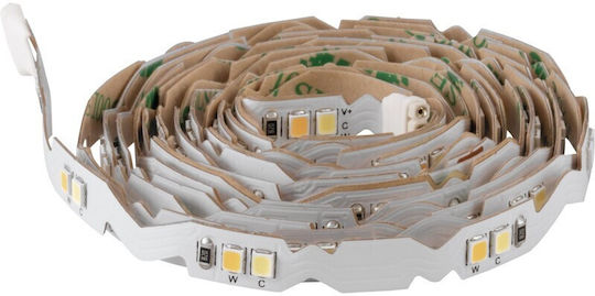 Eglo Smart Ταινία LED 24V Ρυθμιζόμενο Λευκό Φως 2m