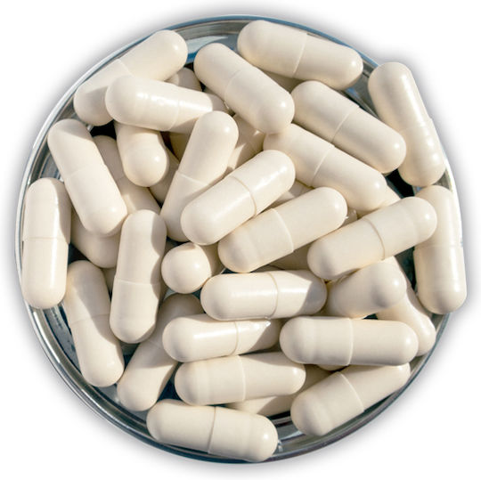 Advanced Nutrition Programme Colostrum C Συμπλήρωμα για την Ενίσχυση του Ανοσοποιητικού 60 κάψουλες
